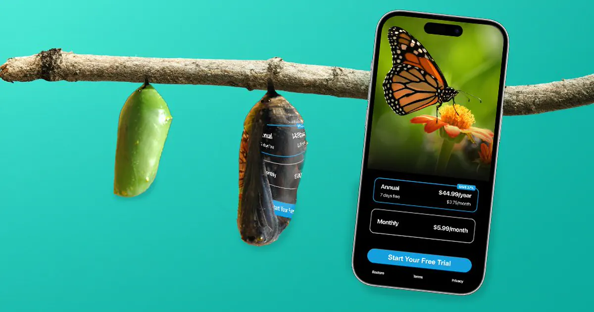 Comment faire connaître votre application avec un petit budget : le guide pratique 2025