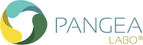 Pangea Labo